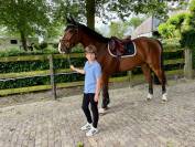 Springpaard  For Pleasure x Nummero Uno