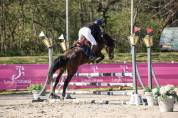 Pouliche PFS taille D 1 an