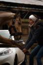 Stage Massage Anatomie Biom&eacute;canique bien-&ecirc;tre du cheval