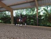 Etalon Pure race espagnole