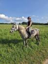 Poney de loisir