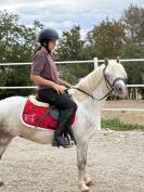Poney Welsh sport