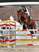 Jument KWPN 6 ans x-rays RAS prospect Am1/Elite/Hunter