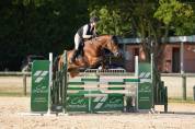 Jument KWPN 6 ans x-rays RAS prospect Am1/Elite/Hunter