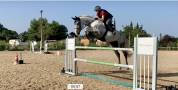 Cheval CSO demi-pension
