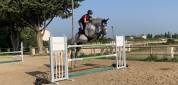 Cheval CSO demi-pension