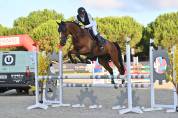 Hongre 9 ans &ndash; 1m67