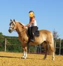 Jument Haflinger PP 14ans