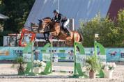Super hongre pour sauter 135