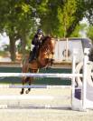 PONEY GRAND PRIX &Agrave; VENDRE/LOUER