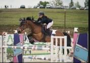 PONEY GRAND PRIX &Agrave; VENDRE/LOUER