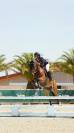 PONEY GRAND PRIX &Agrave; VENDRE/LOUER
