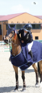 PONEY GRAND PRIX &Agrave; VENDRE/LOUER