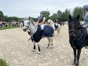 Ponette connemara