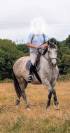 Superbe jument 4 ans par chacco white