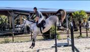 Superbe jument 4 ans par chacco white