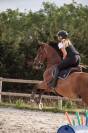 Cheval &agrave; pendre en pension