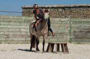 &Eacute;ducation - Pr&eacute;-d&eacute;bourrage - D&eacute;bourrage du jeune cheval