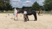 &Eacute;ducation - Pr&eacute;-d&eacute;bourrage - D&eacute;bourrage du jeune cheval