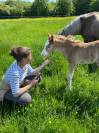 Accompagnement du propri&eacute;taire de poulain/ jeune cheval