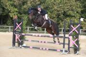 Vous recherchez un cheval toutes disciplines ? 