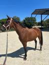 &Agrave; vendre 9 ans sortie 115 