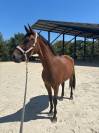 &Agrave; vendre 9 ans sortie 115 