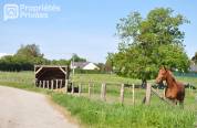Centro ecuestre En venta Mayenne