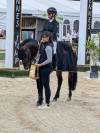 Dekhengst Franse rijpony PFS Te koop 2019 Bruin / Bai ,  RASMUS SL