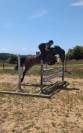 PFS 5 ans | Hongre | 1m47 non ferr&eacute;