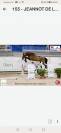 Cheval de loisir ++