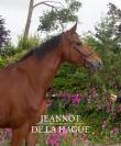 Cheval de loisir ++