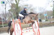 Cheval de loisir ++