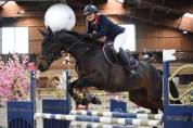 Jument 8 ans - Imperia de Bricard