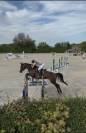 Jument 8 ans - Imperia de Bricard