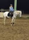 Demi pension poney camargue
