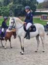 Demi pension poney camargue