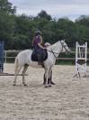 Demi pension poney camargue