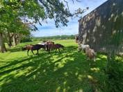 Eigenaren stal Koop Loire-Atlantique