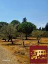 Propri&eacute;t&eacute; de charme sur 1ha de terrain au calme absolu sans &ecirc;tre isol&eacute;