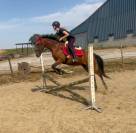 Poney D super chic potentiel cso