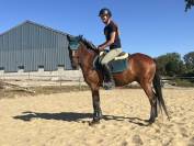 Poney D super chic potentiel cso