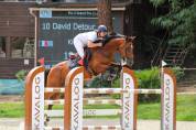 Hongre 6 ans par Chrome d'ivraie 