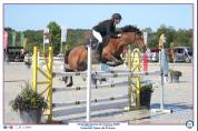 Poney de sport &agrave; vendre 