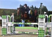 Poney de sport &agrave; vendre 