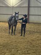 Connemara 4 ans