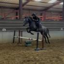 Connemara 4 ans