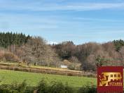 Maison avec boxes sur 1,6 hectare