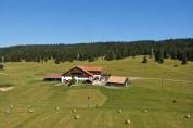 RECHERCHE ferme &eacute;questre suisse romande