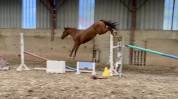Nova de M&eacute;r&eacute; SF 3 ans 